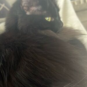 Meet your Posher, Mandy